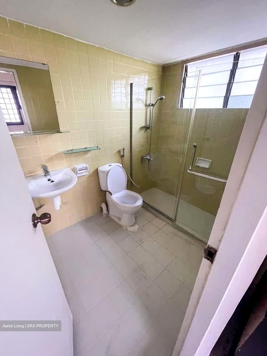 Laguna Park (D15), Apartment #561617841